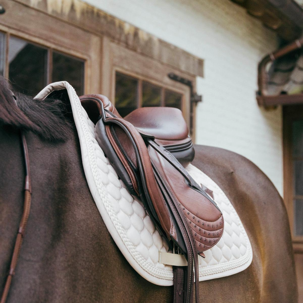 Kentucky Horsewear Saddle Pad Plaited Cord Jumping