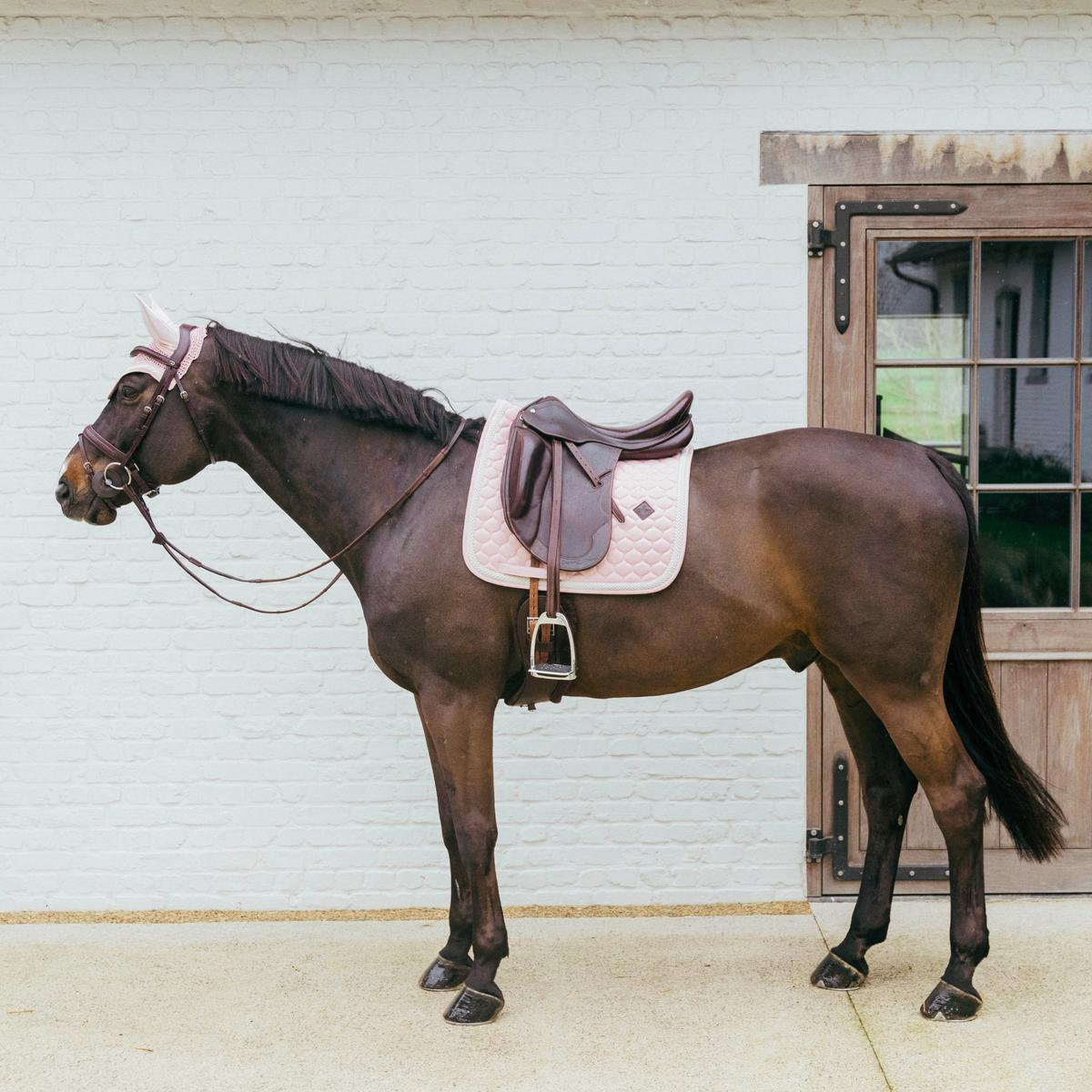 Kentucky Horsewear Saddle Pad Plaited Cord Dressage