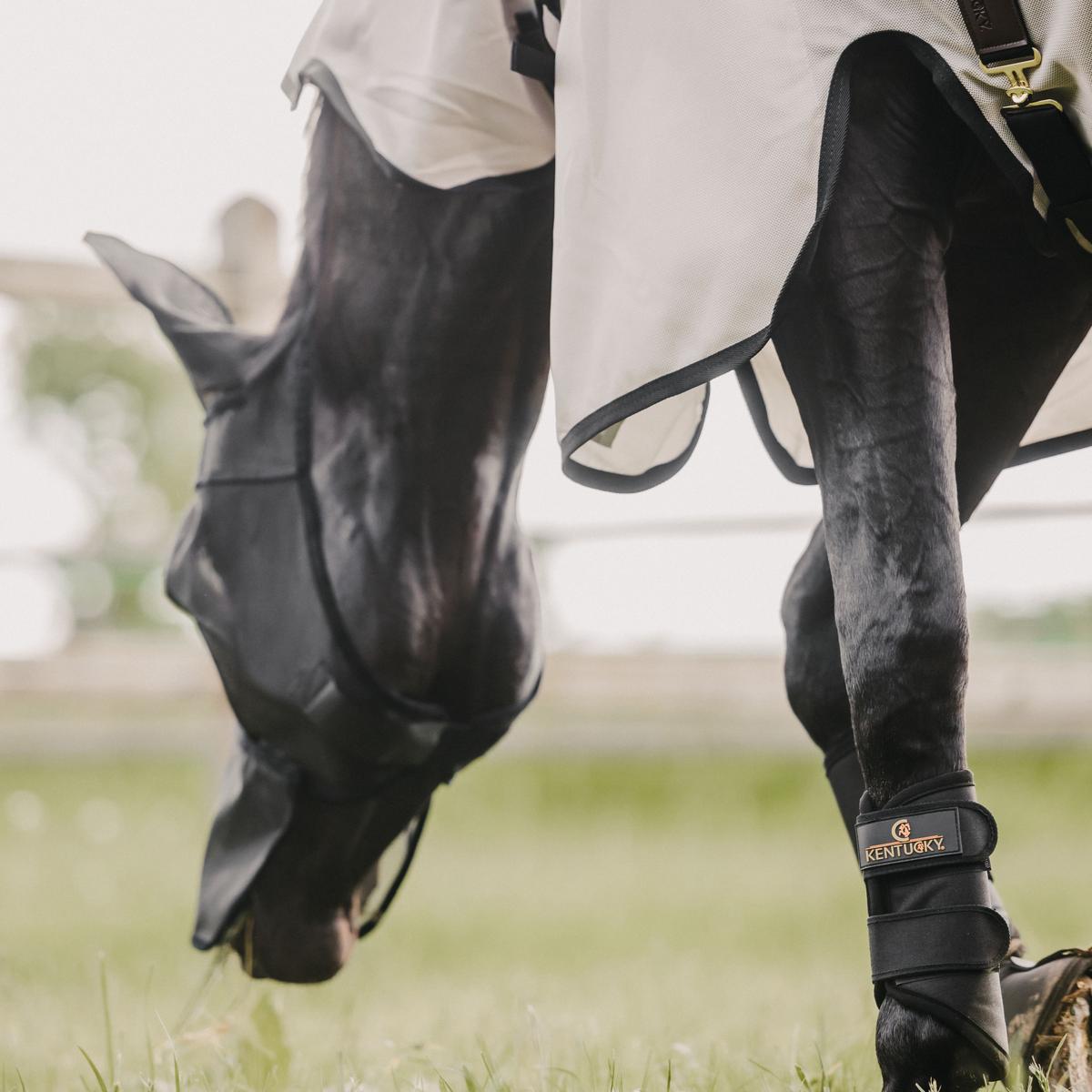 Kentucky Horsewear Fly Mask Classic with ears & nose