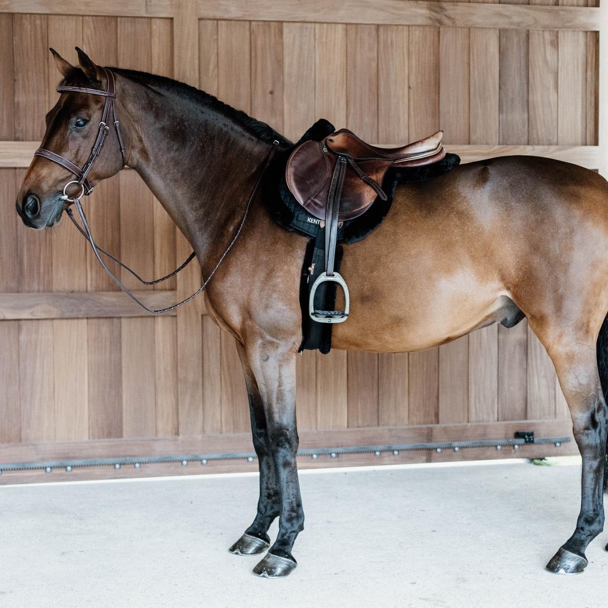 Kentucky Horsewear Saddle Pad Hunter vegan sheepskin jumping