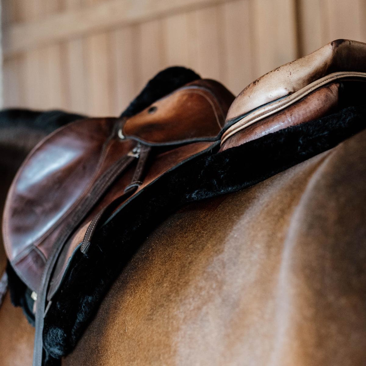 Kentucky Horsewear Saddle Pad Hunter vegan sheepskin jumping