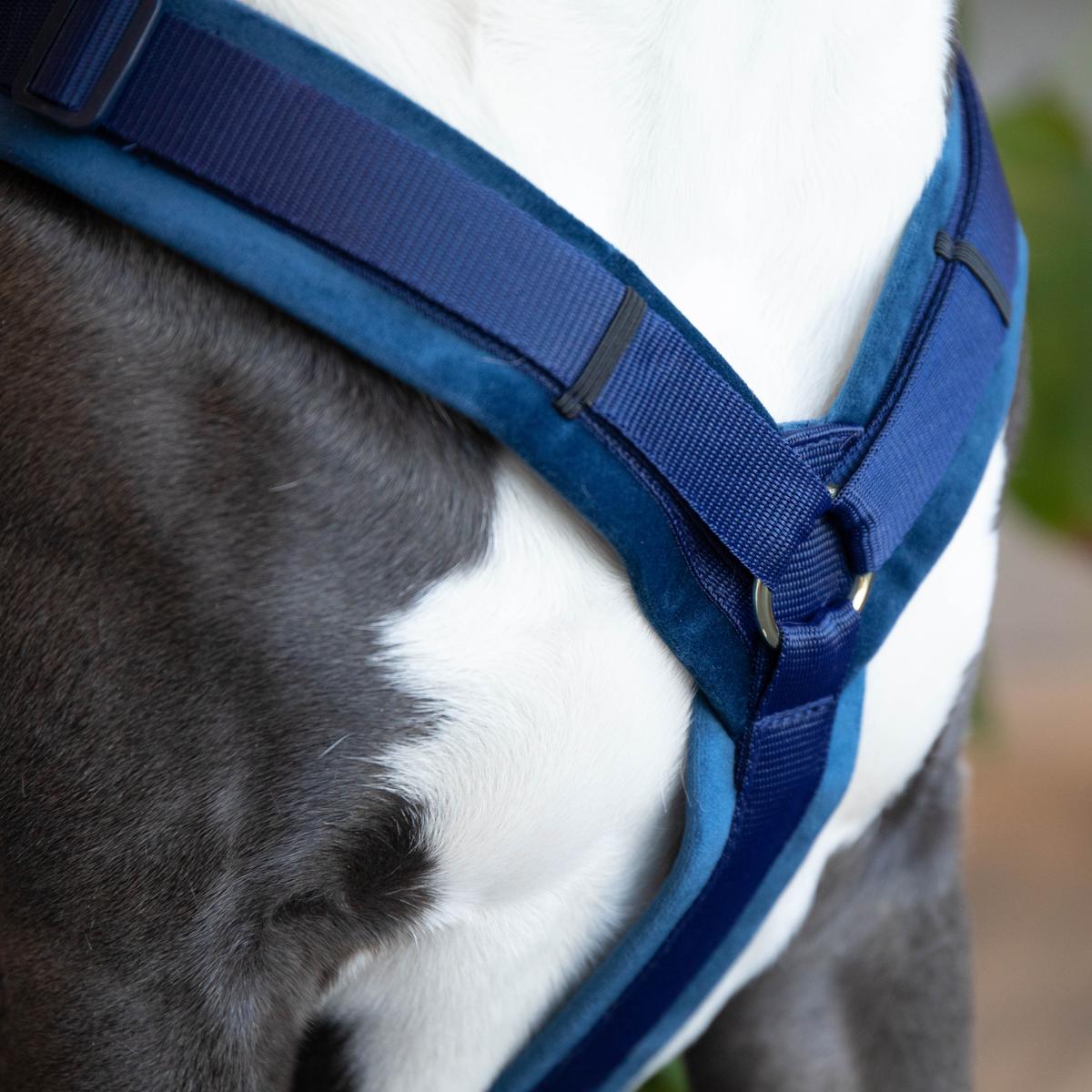 Kentucky Horsewear Dog Harness Active Velvet