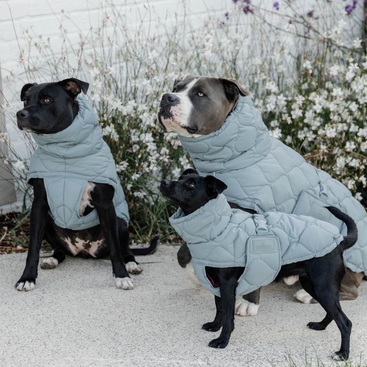 Kentucky Horsewear Dog Coat Winter Pina