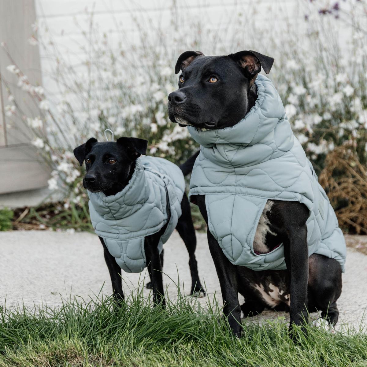 Kentucky Horsewear Dog Coat Winter Pina