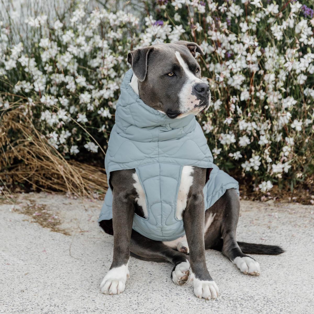 Kentucky Horsewear Dog Coat Winter Pina