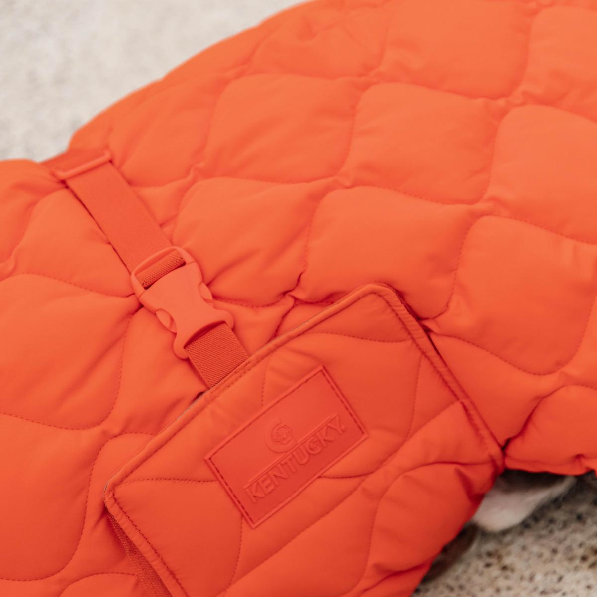 Kentucky Horsewear Dog Coat Winter Pina