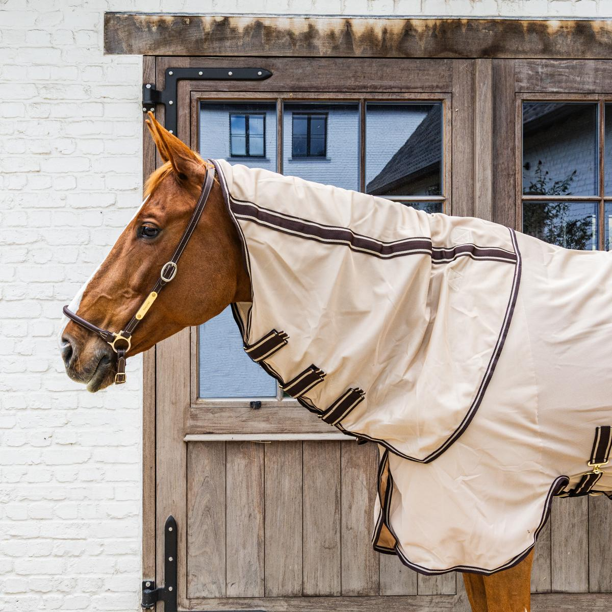 Kentucky Horsewear Mesh Fly Rug Comfort