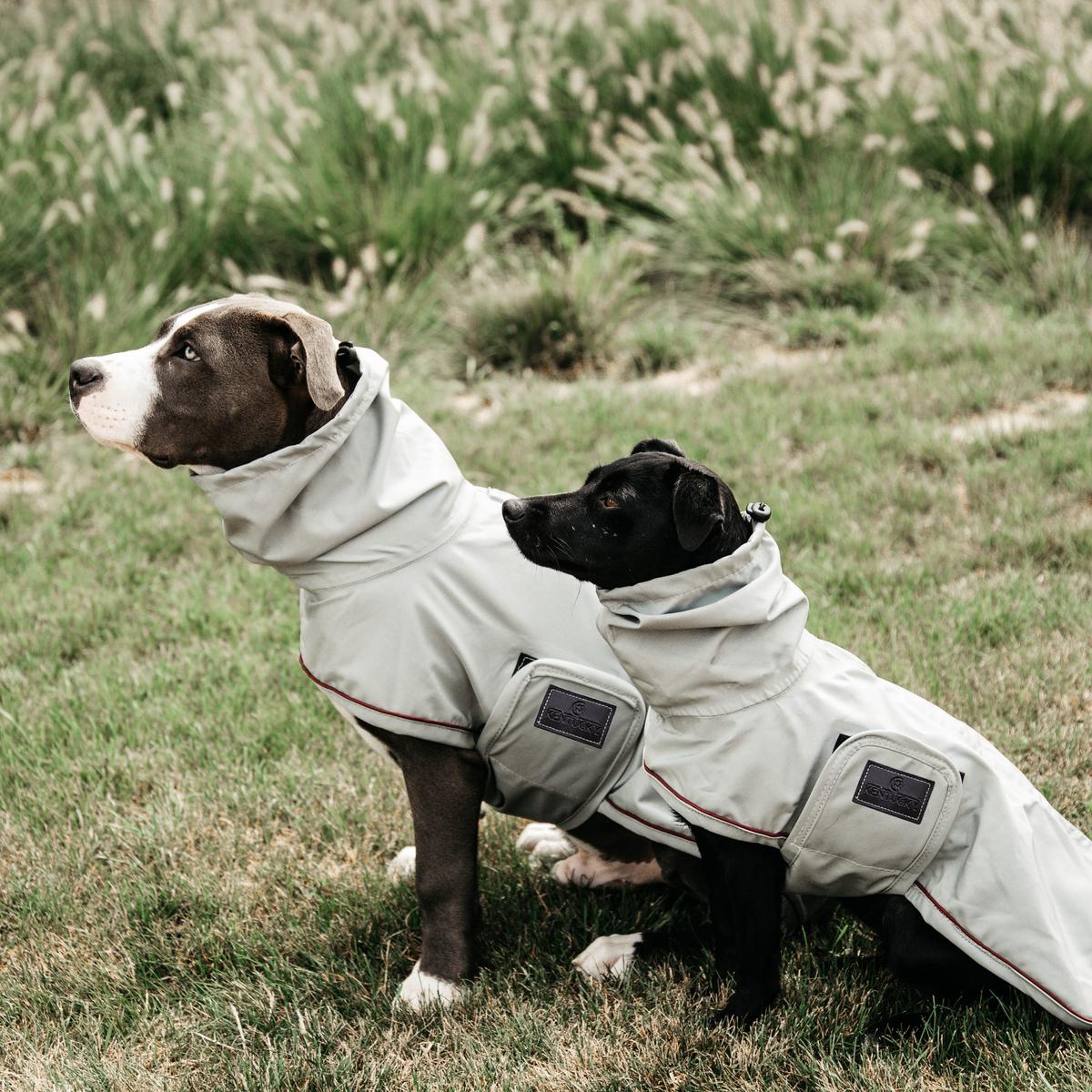 Kentucky Horsewear Dog Raincoat