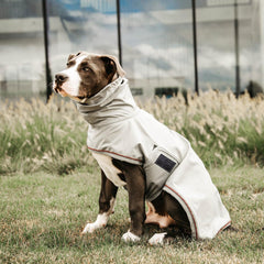 Kentucky Horsewear Dog Raincoat
