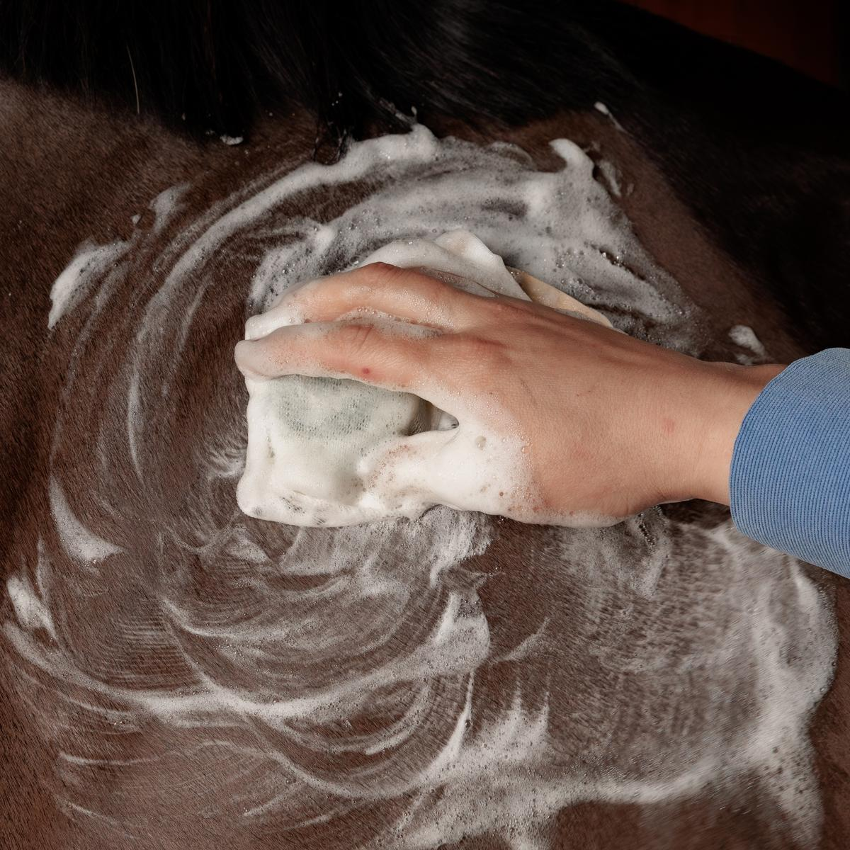 Kentucky Horsewear Grooming Deluxe Shampoo Bar