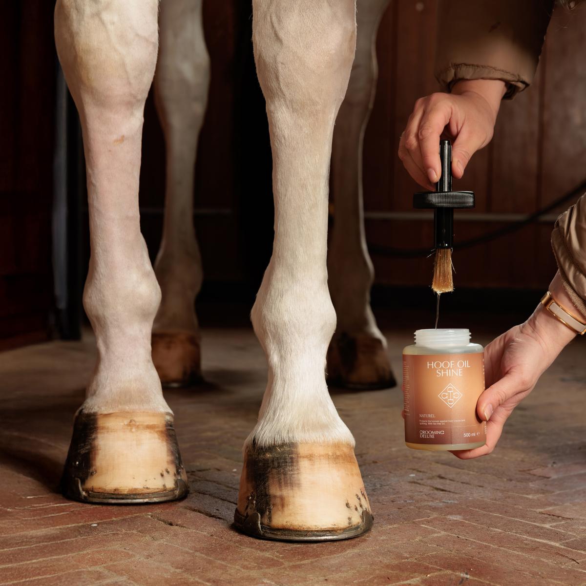 Grooming Deluxe GD Hoof Oil Shine