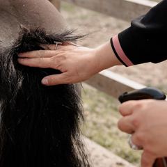 Grooming DeluCxe Itch Stop Plus