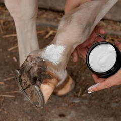 Grooming Deluxe Mud Fever Cream Plus