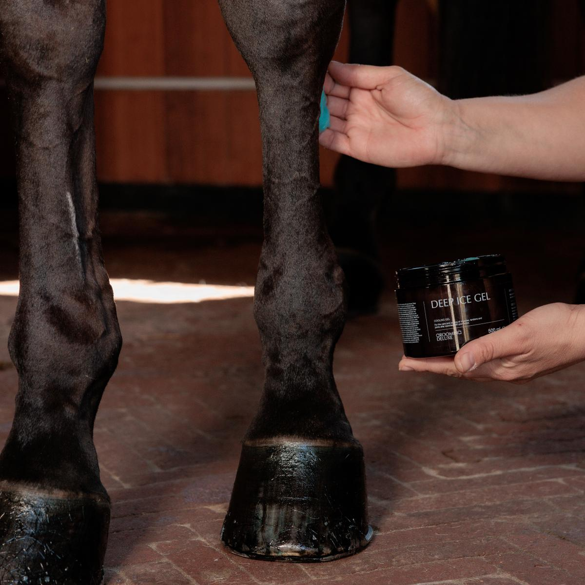 Kentucky Grooming Deluxe Recovering Ice Gel