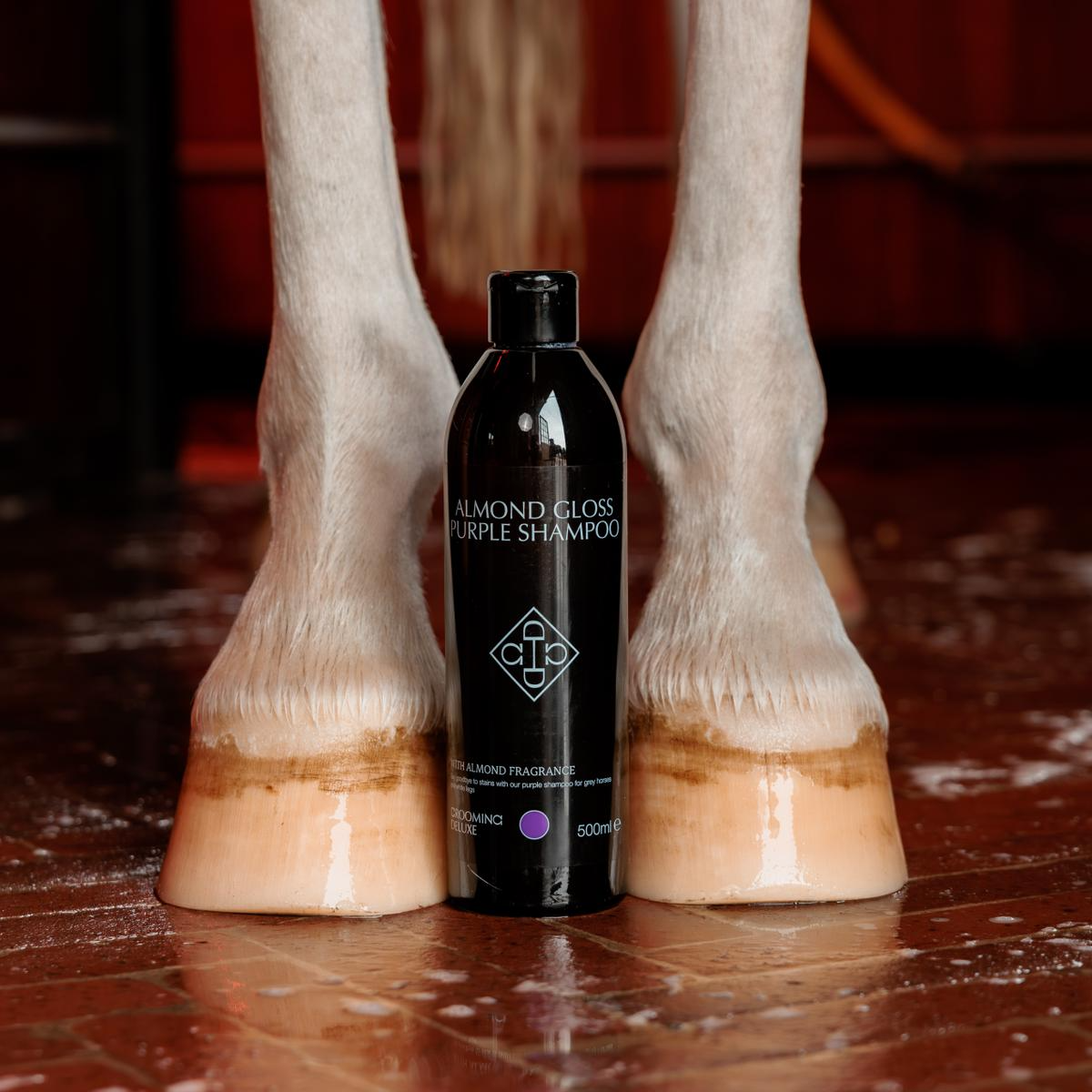 Grooming Deluxe Almond Gloss Purple Shampoo