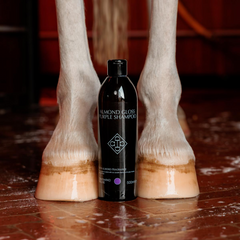 Grooming Deluxe Almond Gloss Purple Shampoo