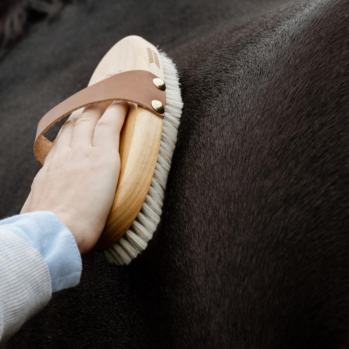 Grooming Deluxe Overall Brush body soft shine