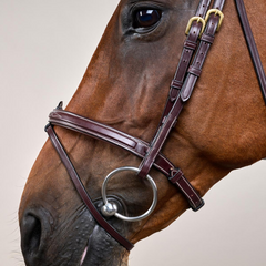 Dy'on D Collection Flash Noseband With Removable Attachment Bridle