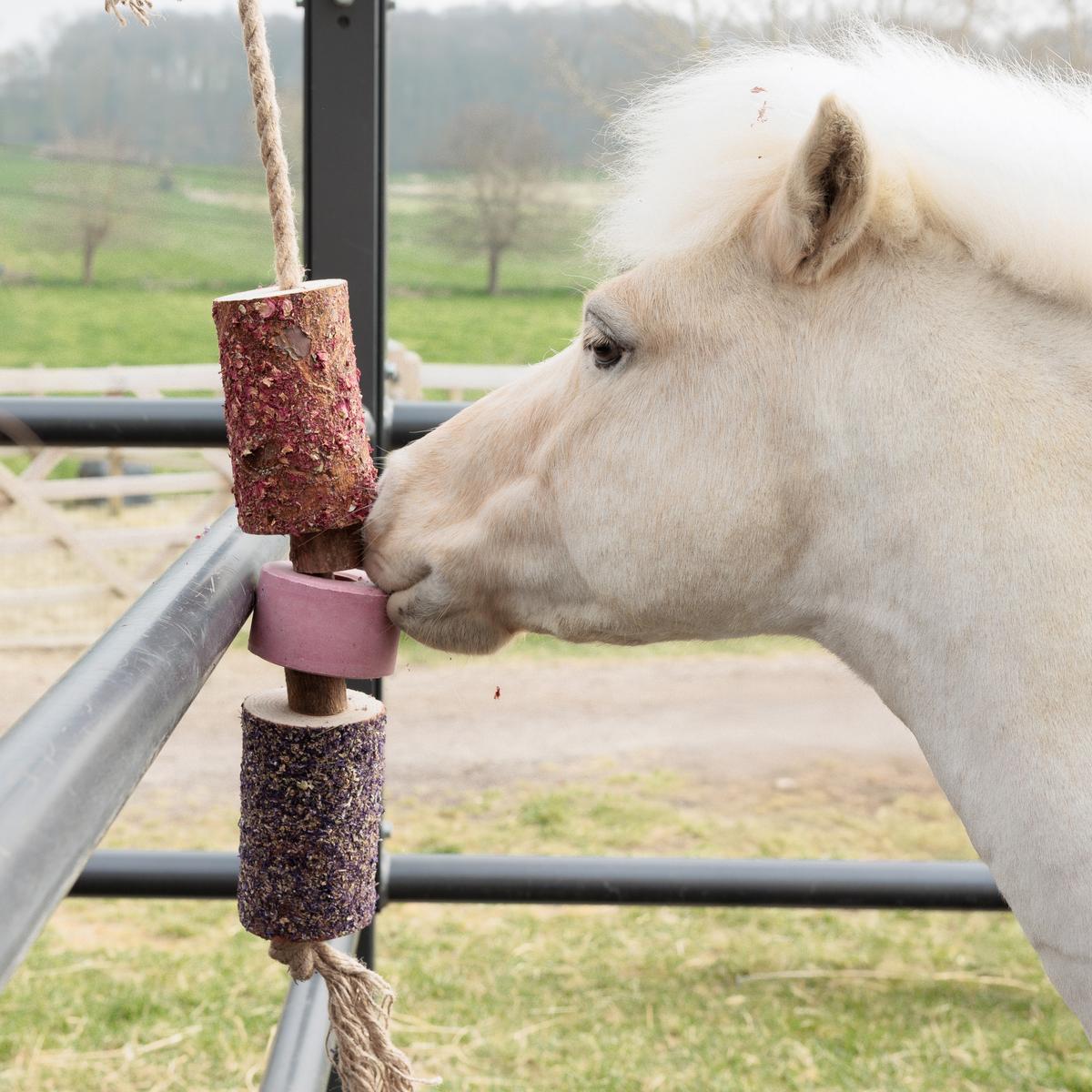 Grooming Deluxe Wooden Relax Horse Toy with Salt Lick