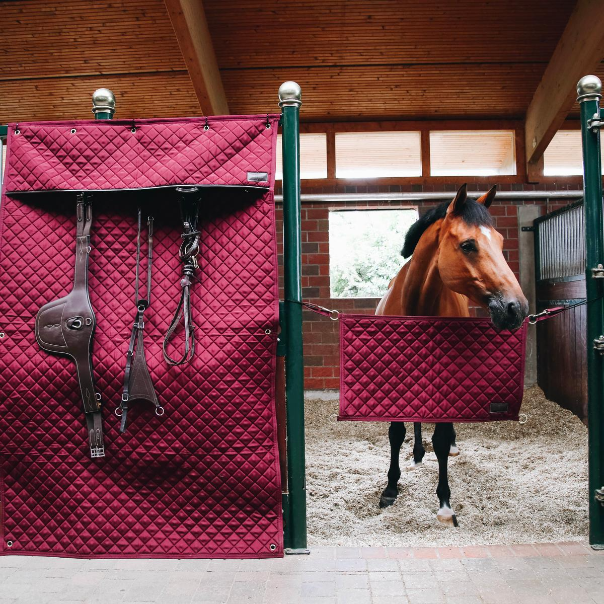 Kentucky Horsewear Stable Guard