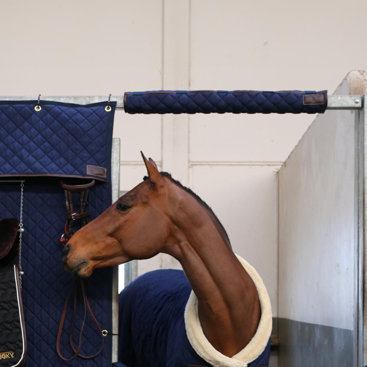Kentucky Horsewear Head Protector