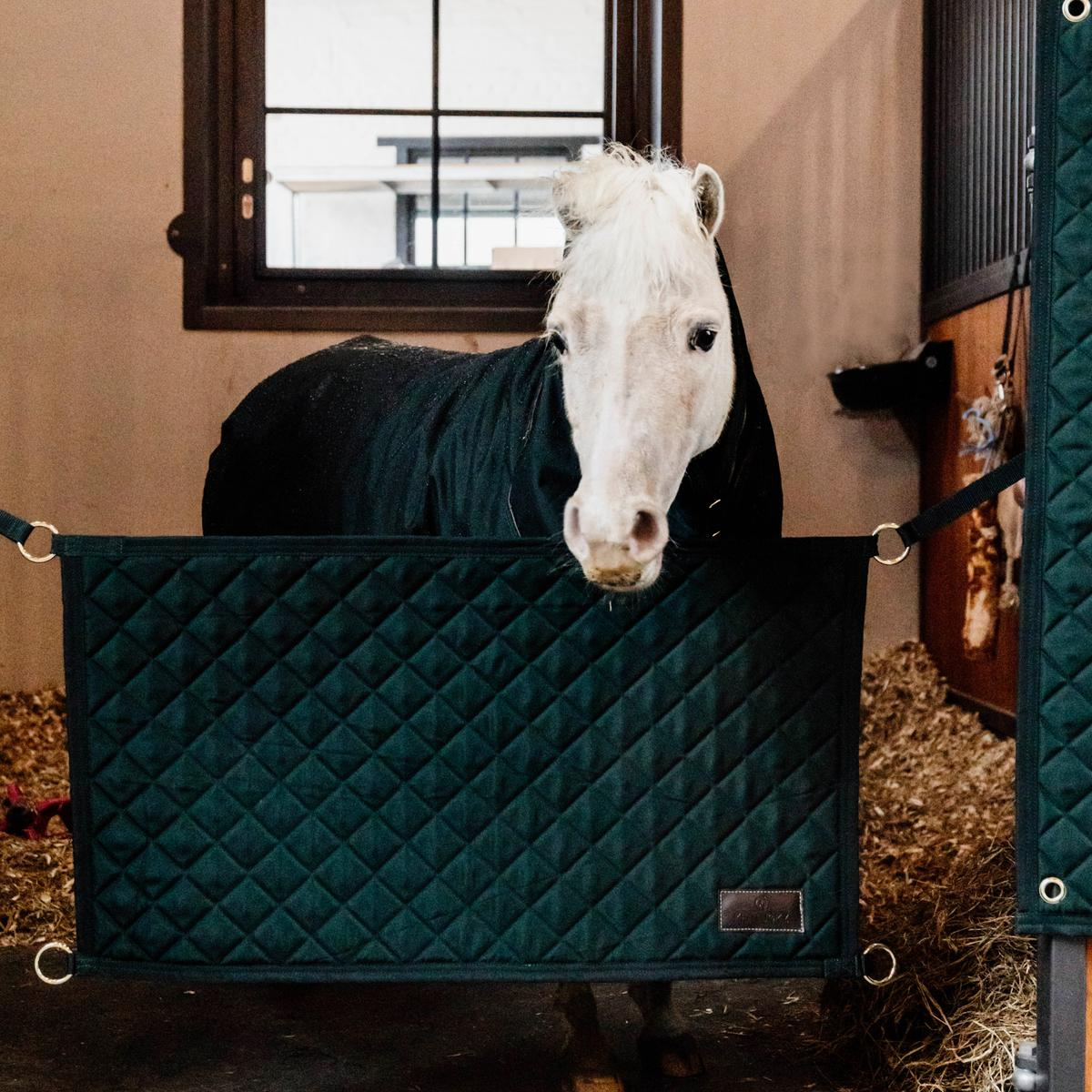 Kentucky Horsewear Stable Guard