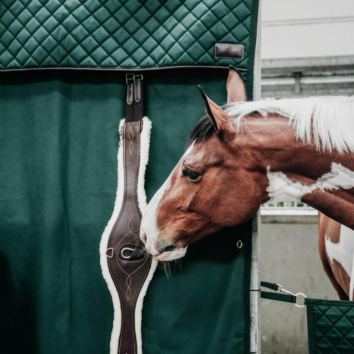 Kentucky Horsewear Stable Curtain Waterproof