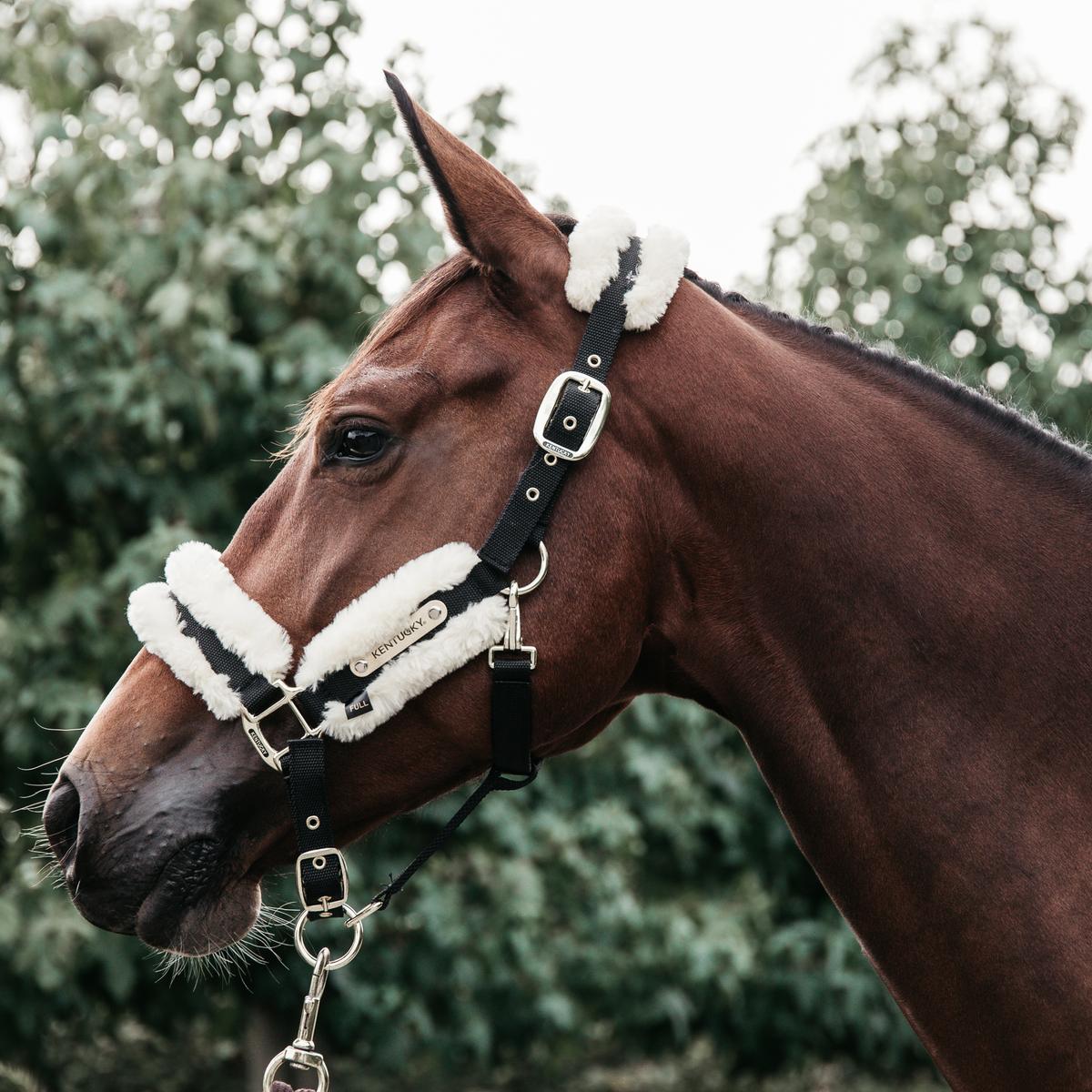 Kentucky Horsewear Nylon Sheepskin Halter