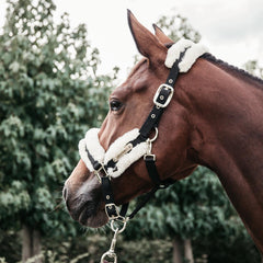 Kentucky Horsewear Nylon Sheepskin Halter