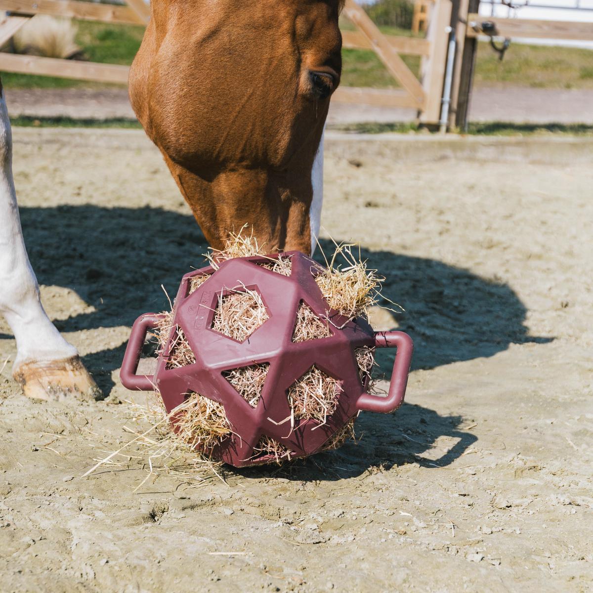 Kentucky Horsewear Relax Horse Play & Hay Ball