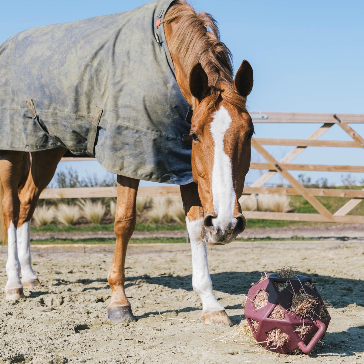 Kentucky Horsewear Relax Horse Play & Hay Ball