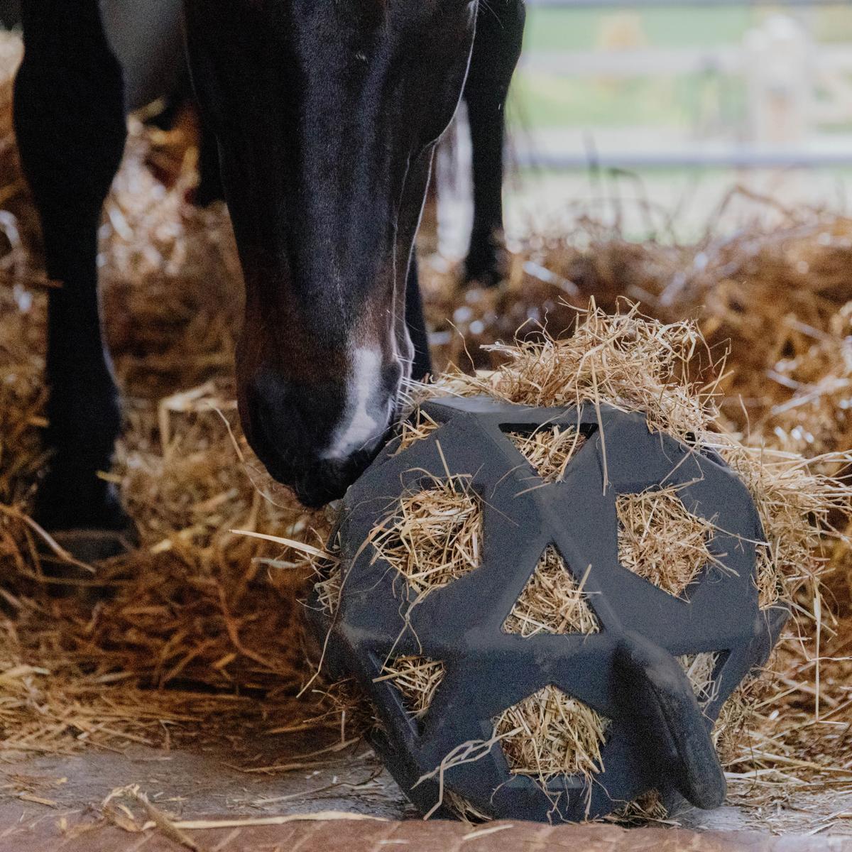 Kentucky Horsewear Relax Horse Play & Hay Ball
