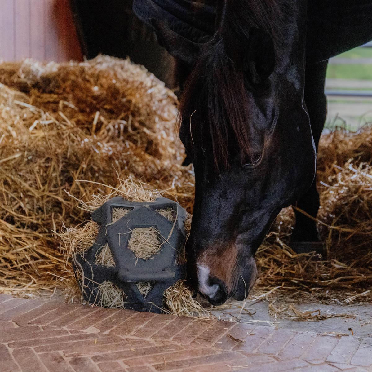 Kentucky Horsewear Relax Horse Play & Hay Ball