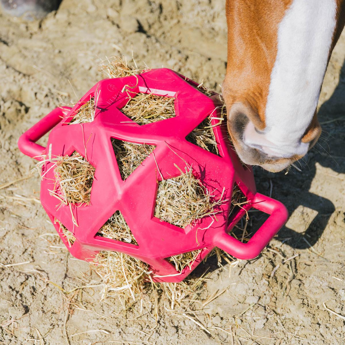 Kentucky Horsewear Relax Horse Play & Hay Ball