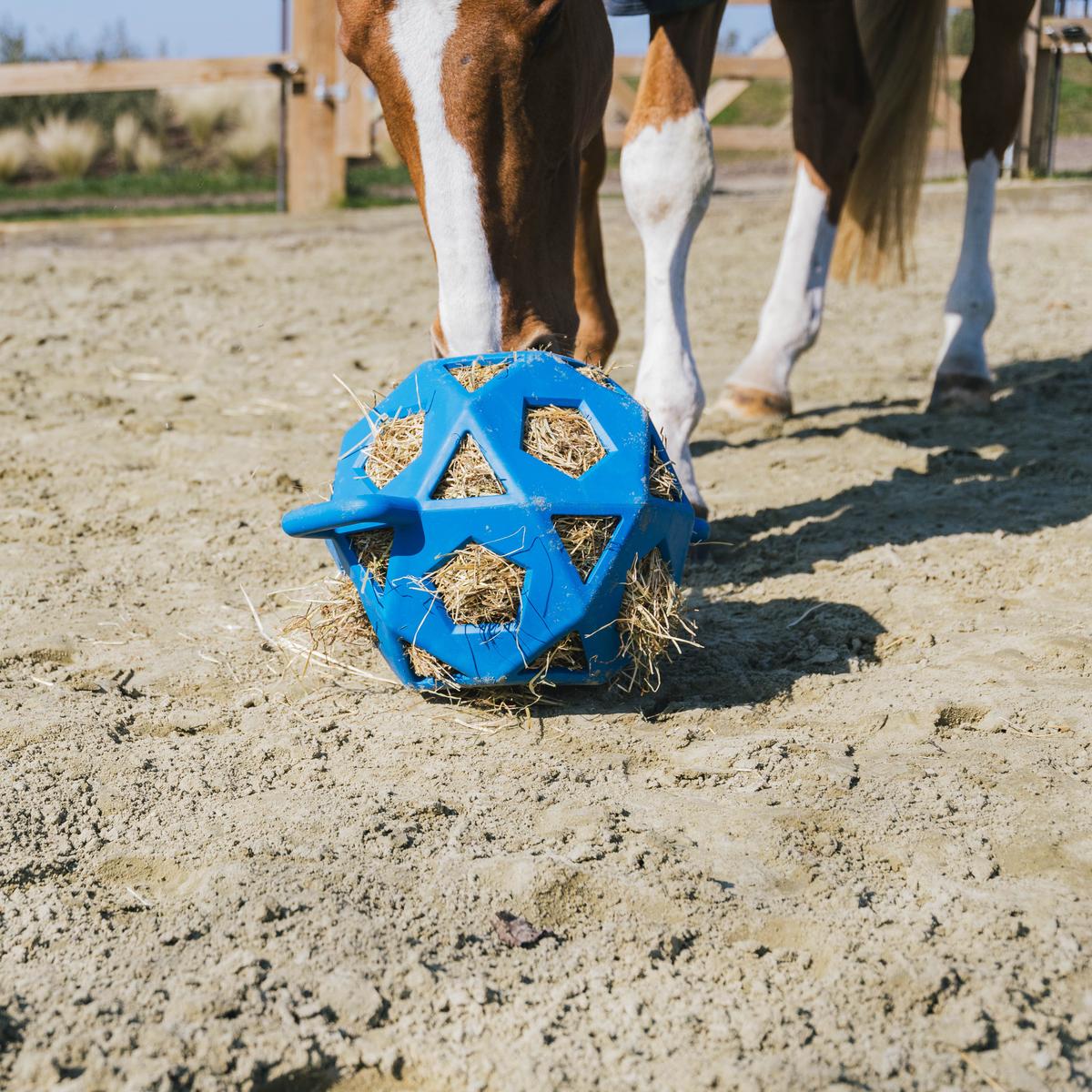 Kentucky Horsewear Relax Horse Play & Hay Ball