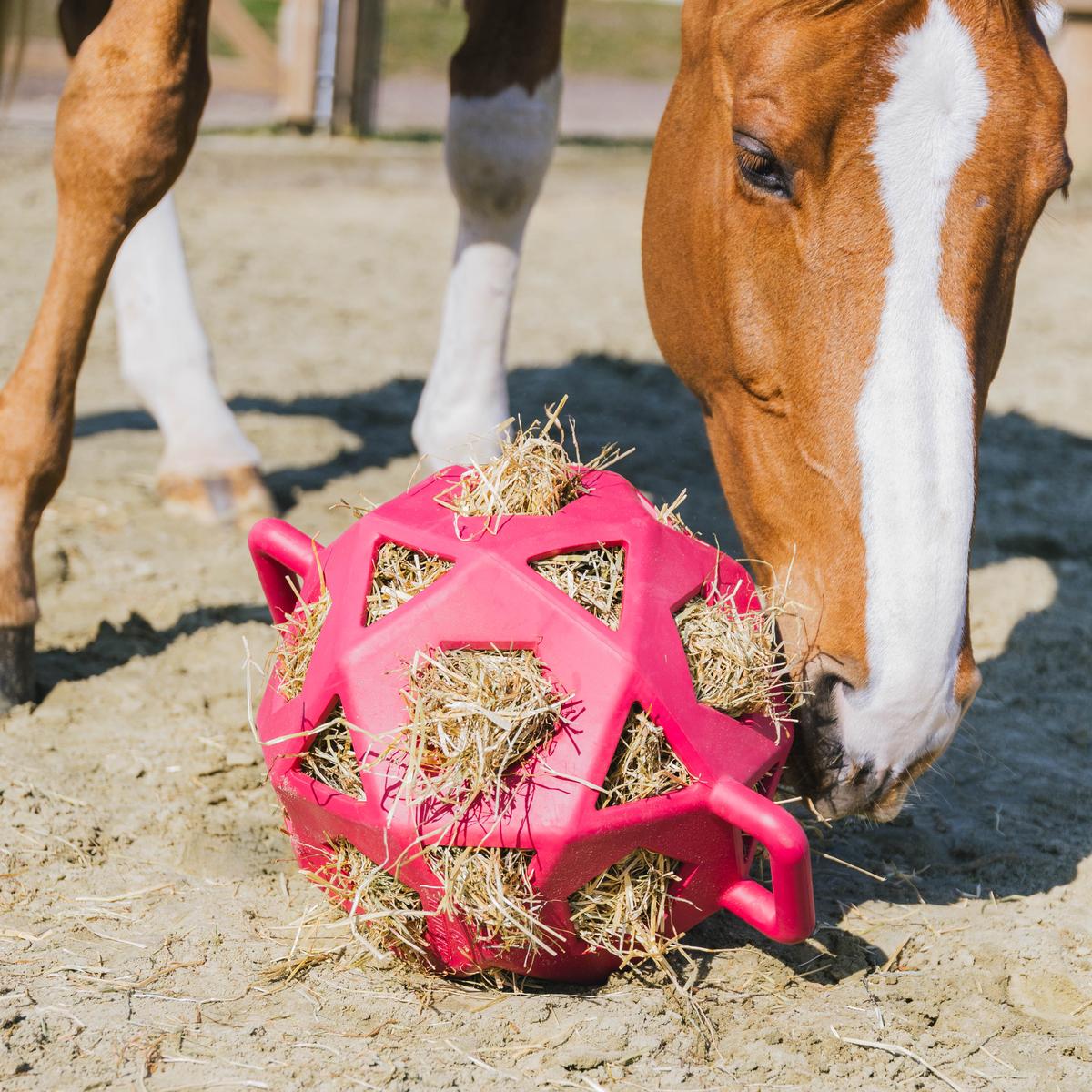 Kentucky Horsewear Relax Horse Play & Hay Ball