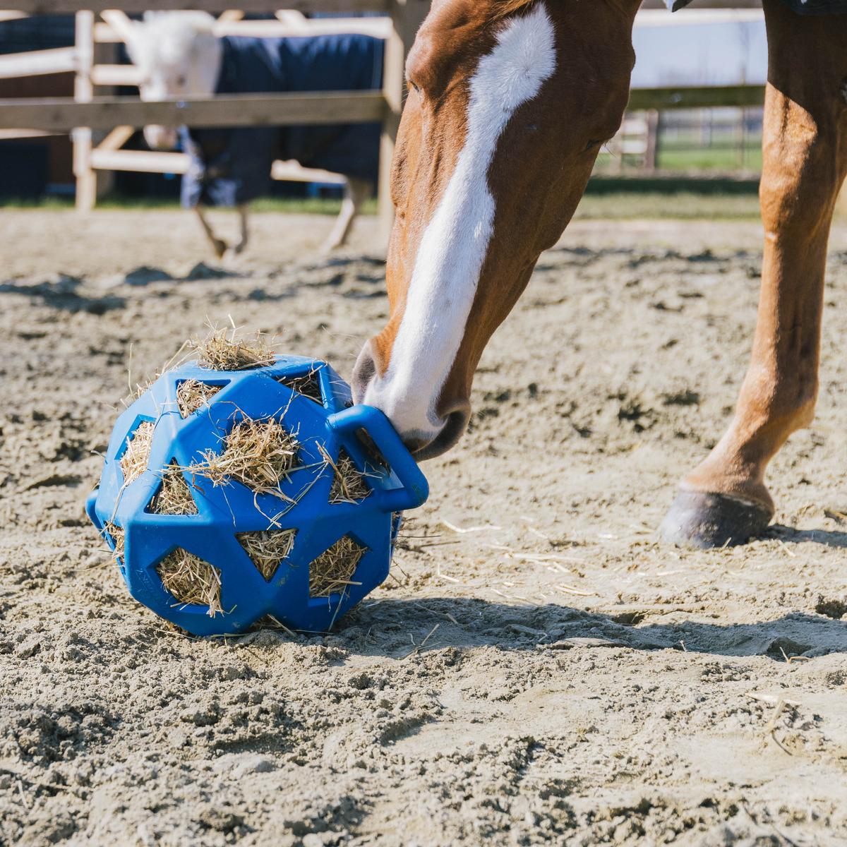 Kentucky Horsewear Relax Horse Play & Hay Ball