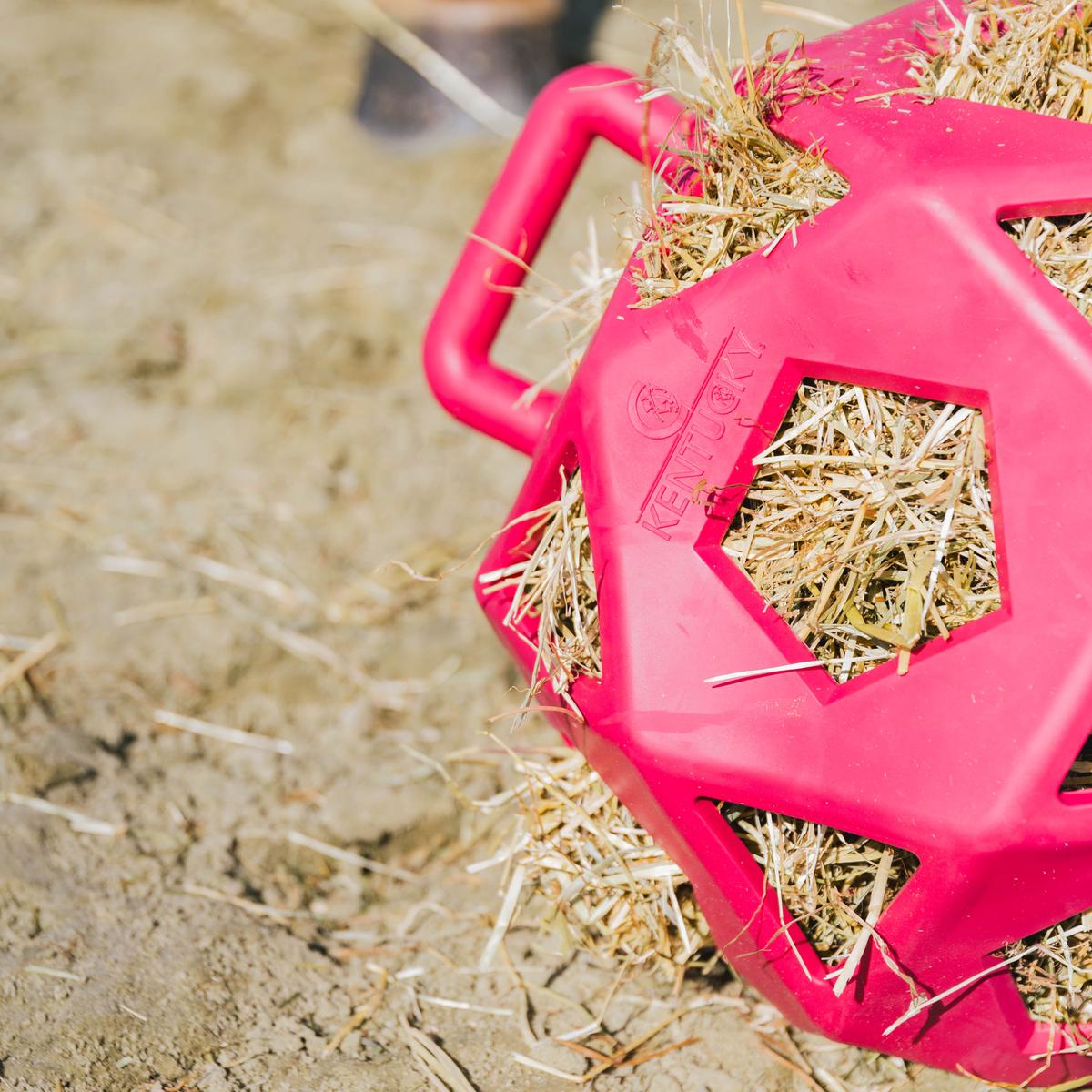 Kentucky Horsewear Relax Horse Play & Hay Ball