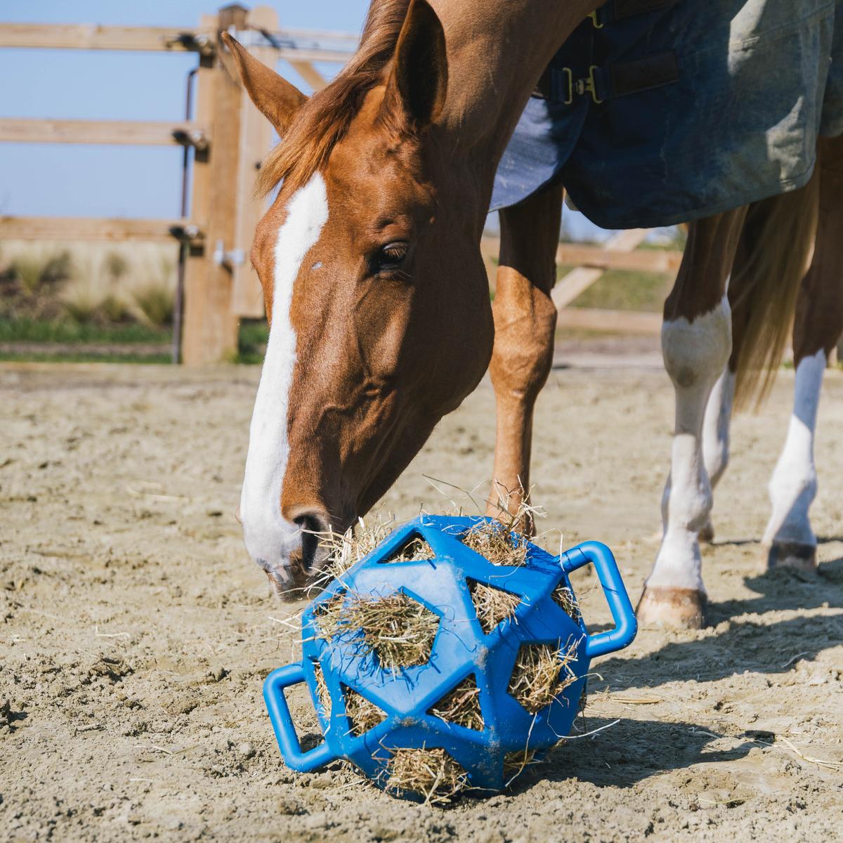 Kentucky Horsewear Relax Horse Play & Hay Ball