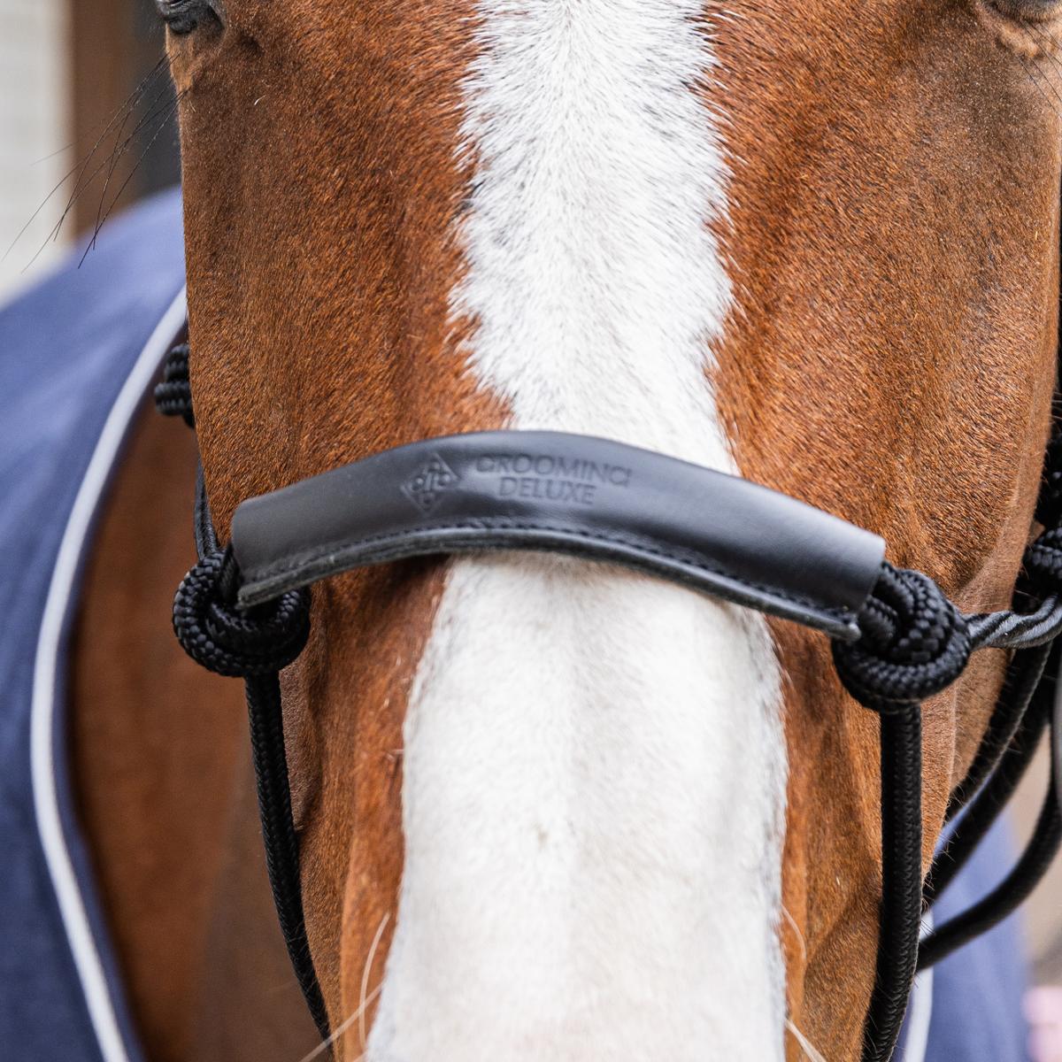 Kentucky Horsewear Rope Halter