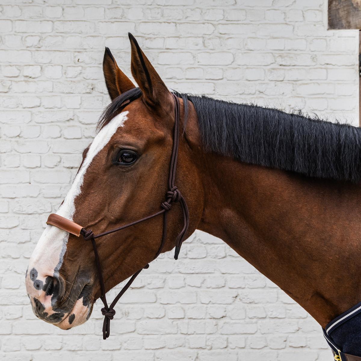 Kentucky Horsewear Rope Halter