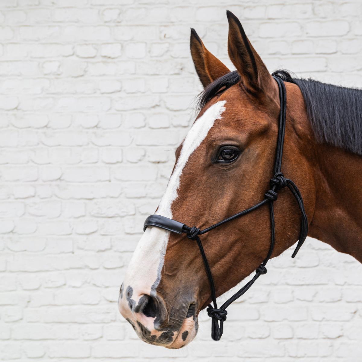 Kentucky Horsewear Rope Halter