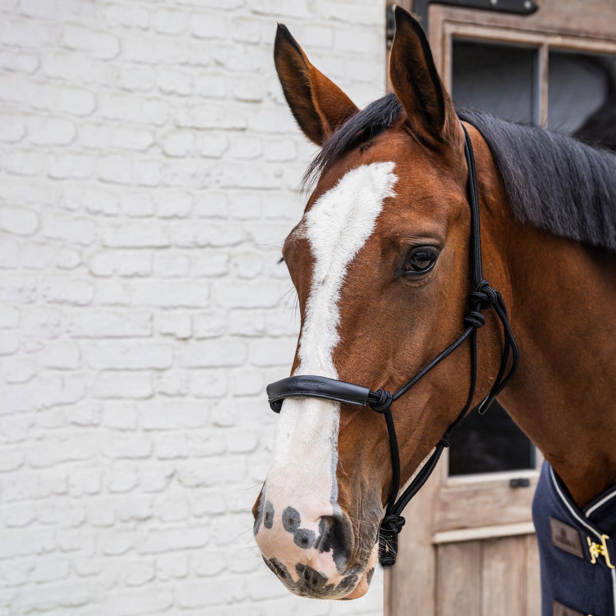 Kentucky Horsewear Rope Halter