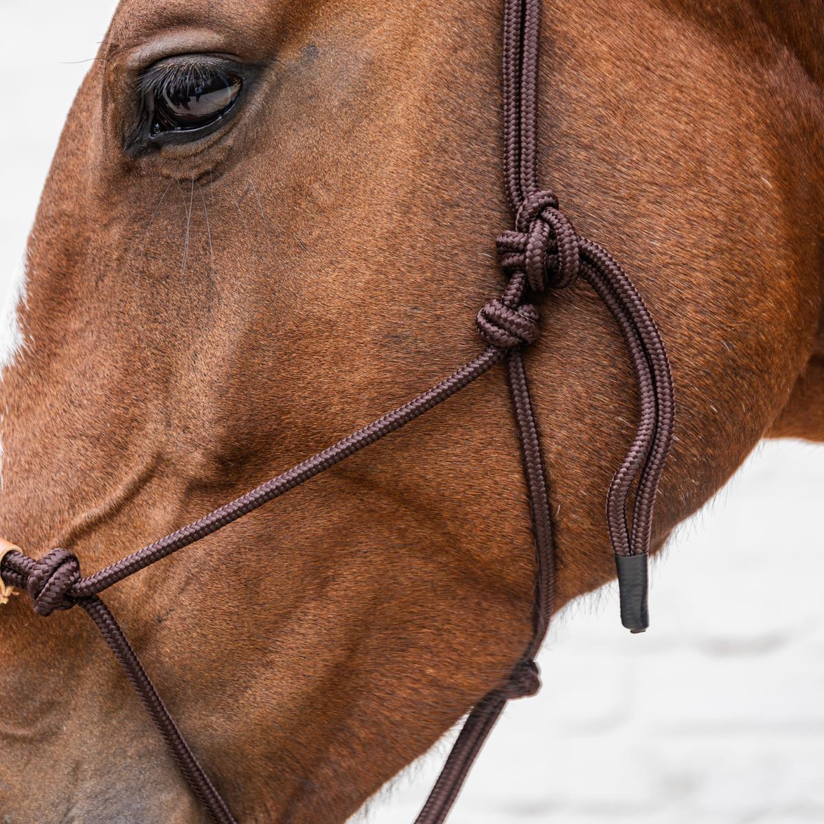 Kentucky Horsewear Rope Halter