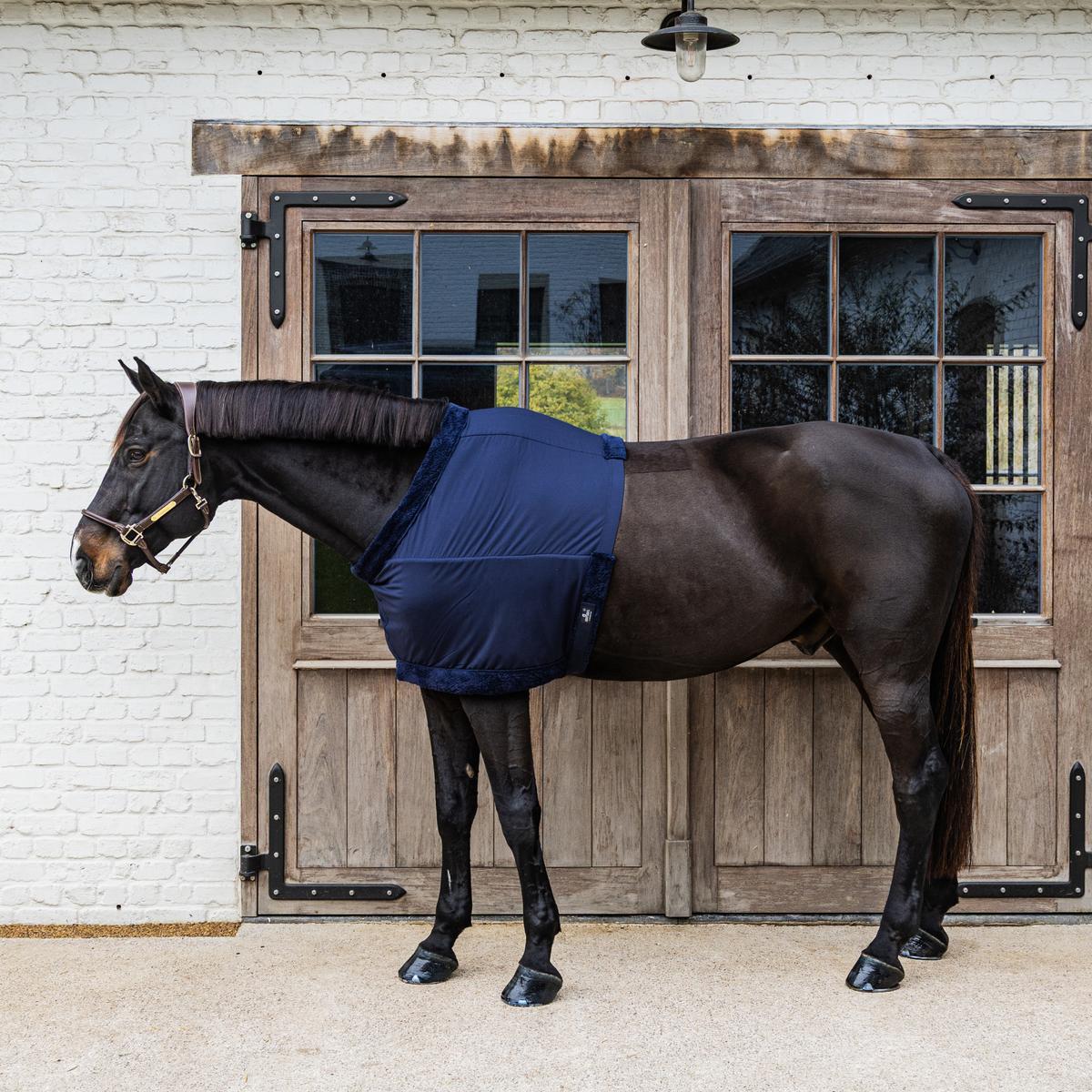 Kentucky Horsewear Chest Protection