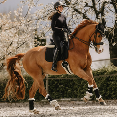 Kentucky Horsewear Saddle Pad Glitter Stone Dressage