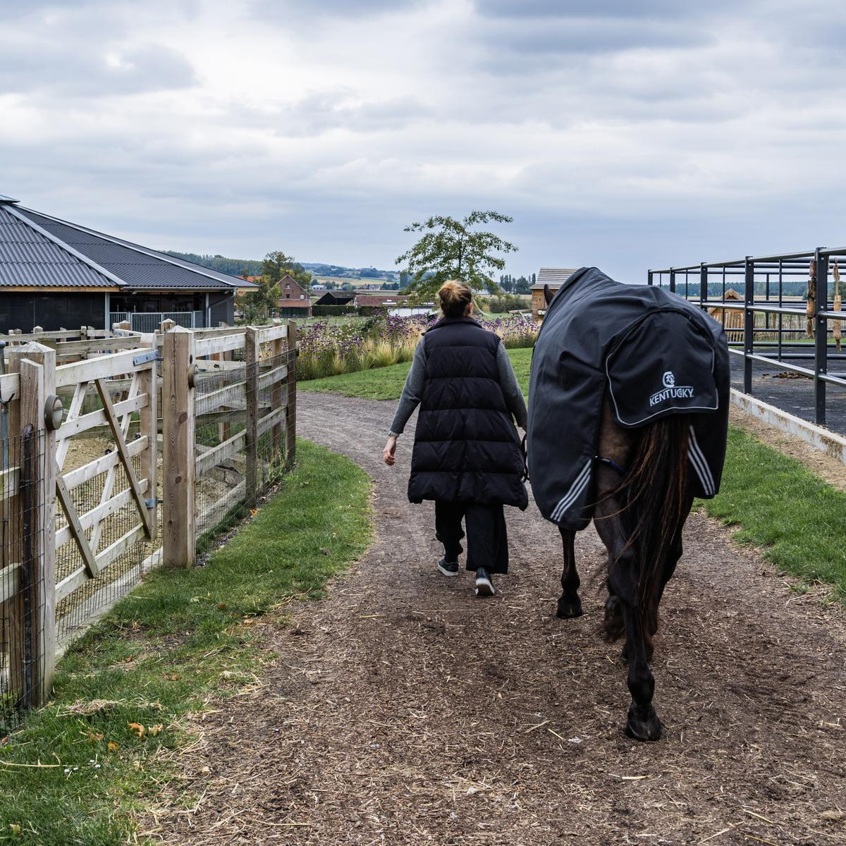 Kentucky Horsewear Turnout Rug All Weather Waterproof Comfort
