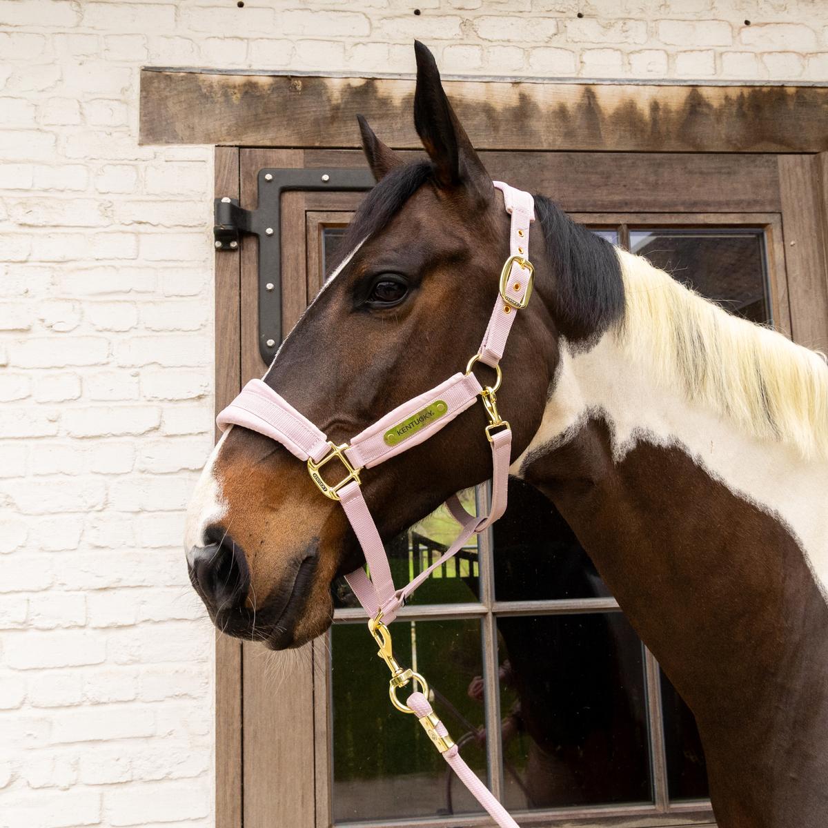 Kentucky Horsewear Velvet Halter