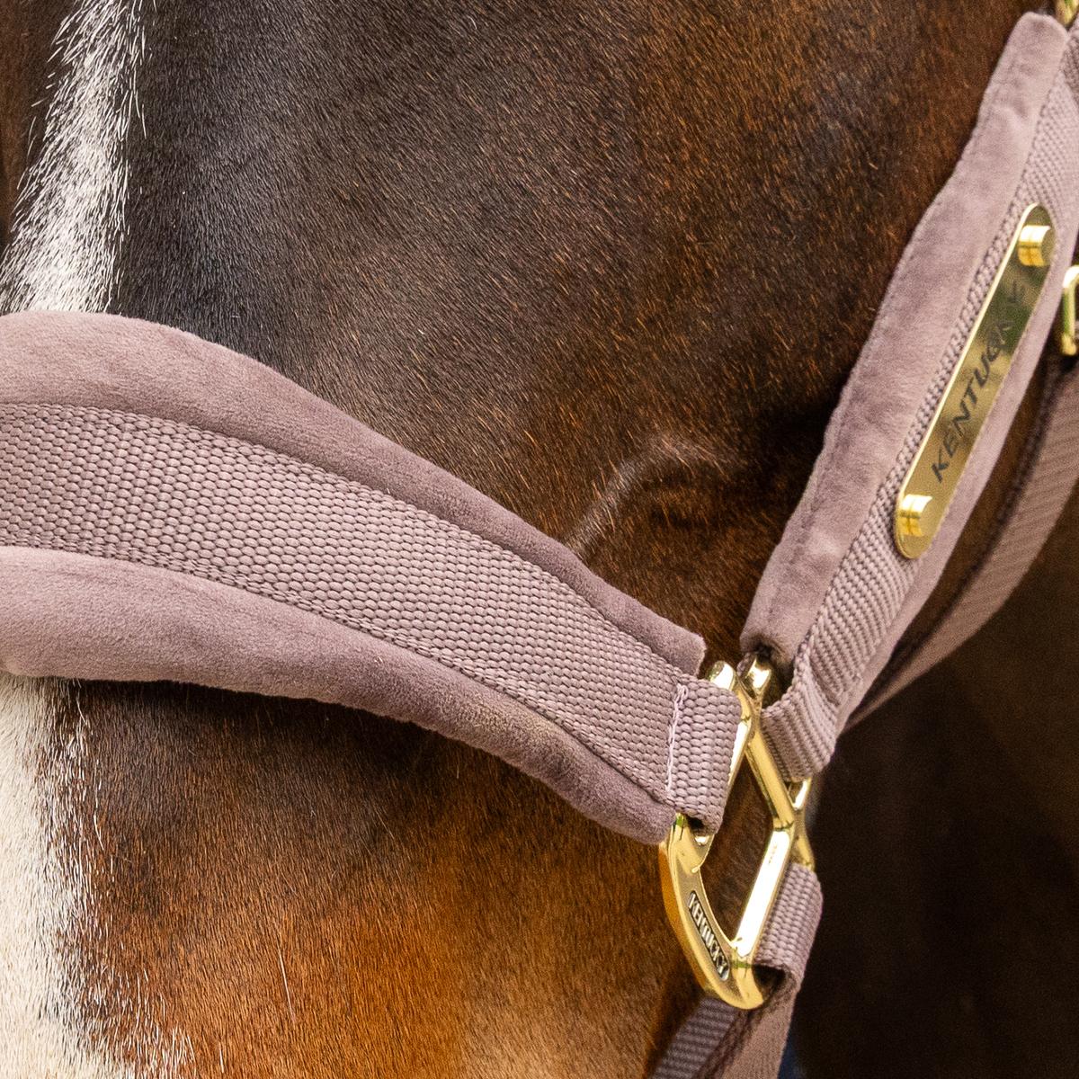 Kentucky Horsewear Velvet Halter