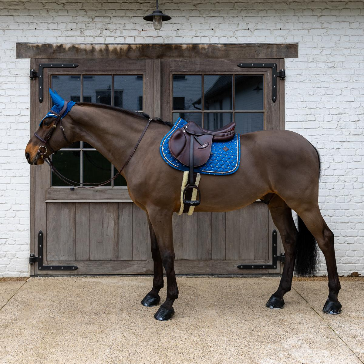 Kentucky Horsewear Saddle Pad Velvet Horse printing Show Jumping